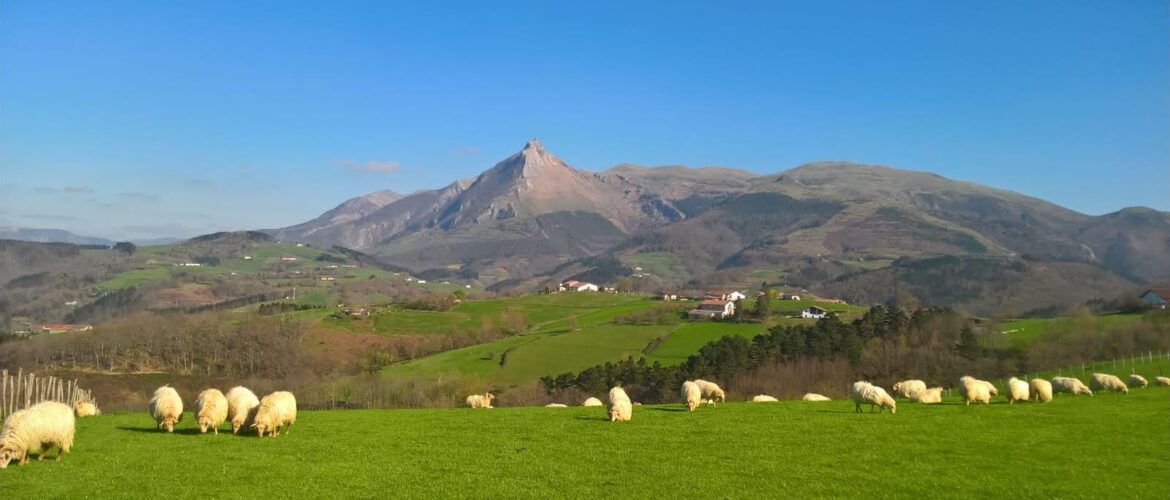 Monte Txindoki